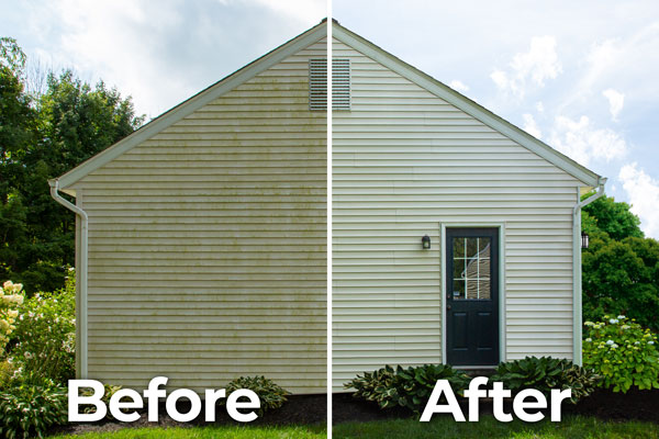 Siding Cleaning